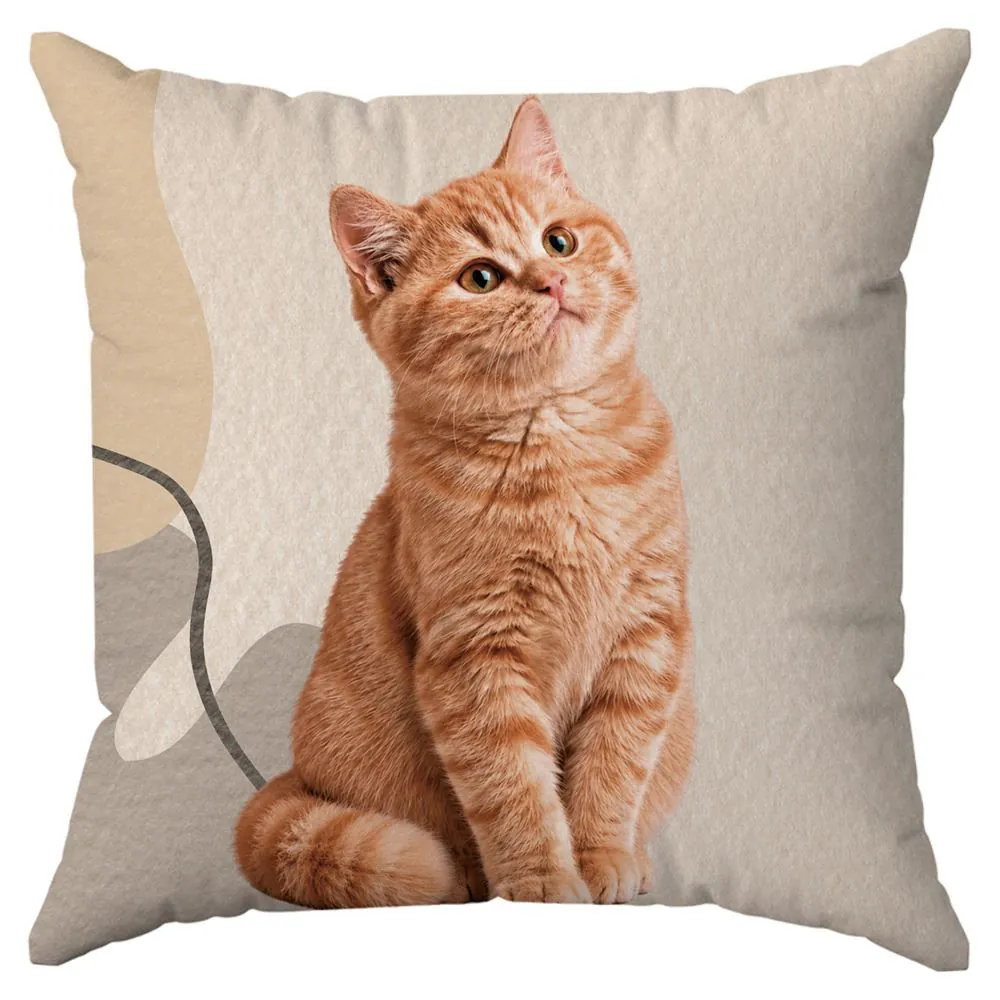 Almofada Decorativa 43X43cm Pets - Gato Geo