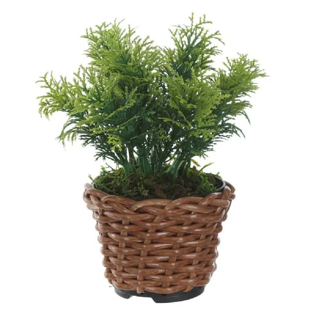 Arranjo Grass Florarte 15Cm Verde - Grass