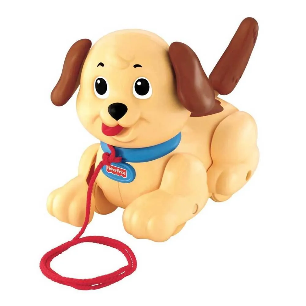 Meu Primeiro Cachorrinho Fisher-Price Mattel - H9447