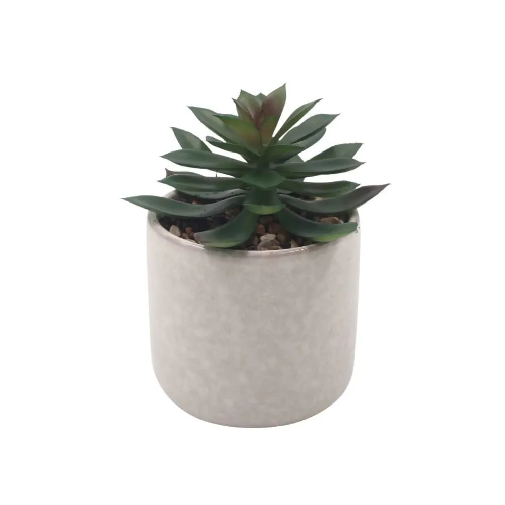 Suculenta Artificial com Vaso de Cerâmica 12Cm - Sortido