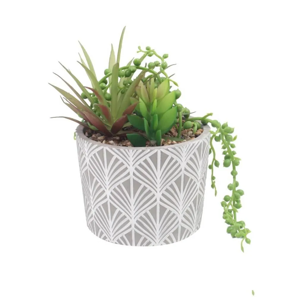Suculenta com Vaso de Cimento 15,8Cm