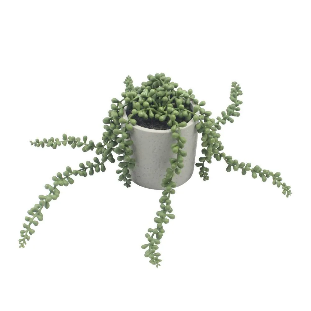 Suculenta com Vaso de Cimento 15Cm