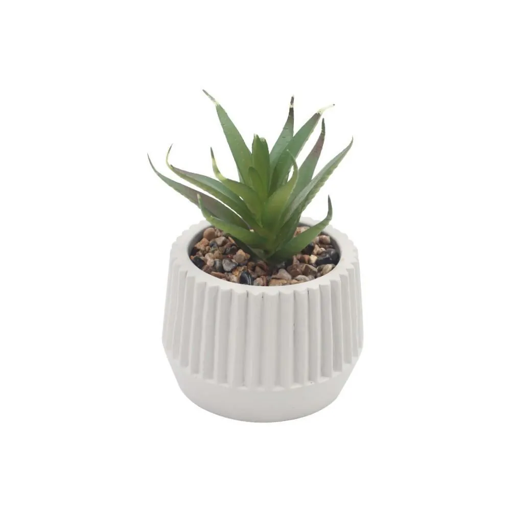Suculenta com Vaso de Cimento 9Cm - Sortido
