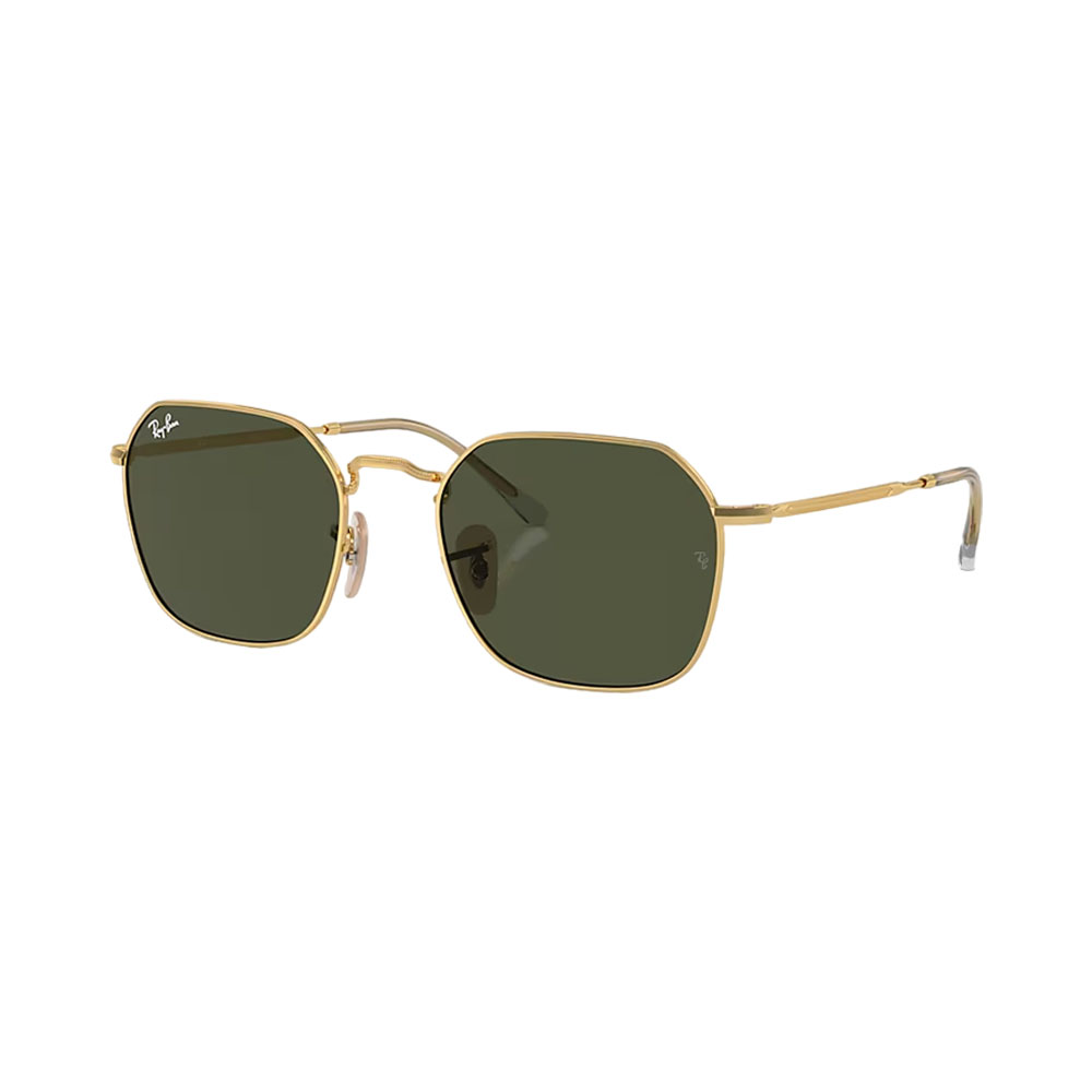 Óculos Ray Ban 3694 001/31 55