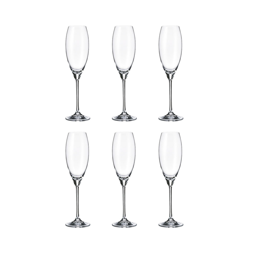 Conjunto de Taças para Champanhe Bohemia Carduelis 290ML 6 Peças
