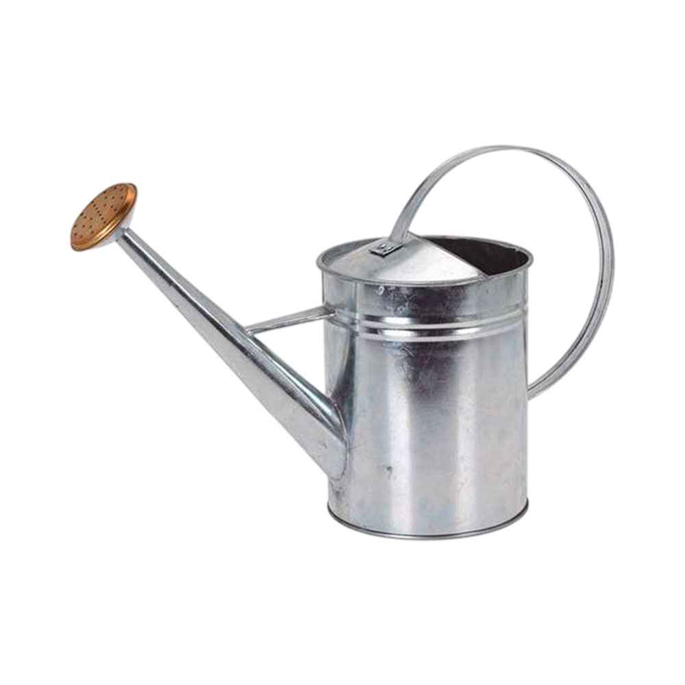 Regador Kpm 031186 1.9L Prata