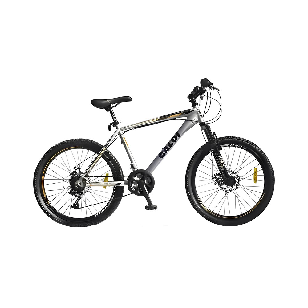 Bicicleta Caloi 41017291P Rider Sport 24" Prata