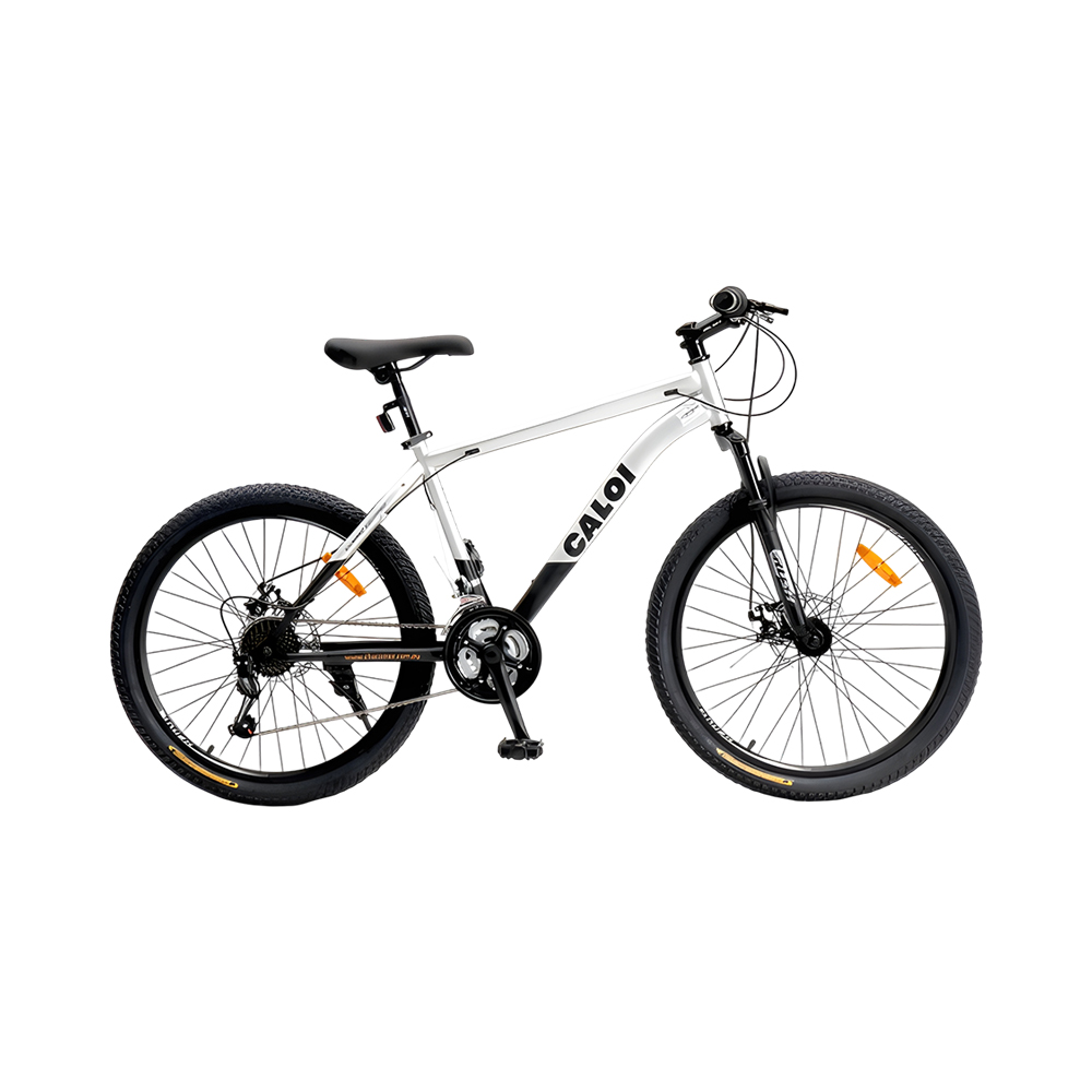 Bicicleta Caloi 41017312G Rider Sport 20 Cinza