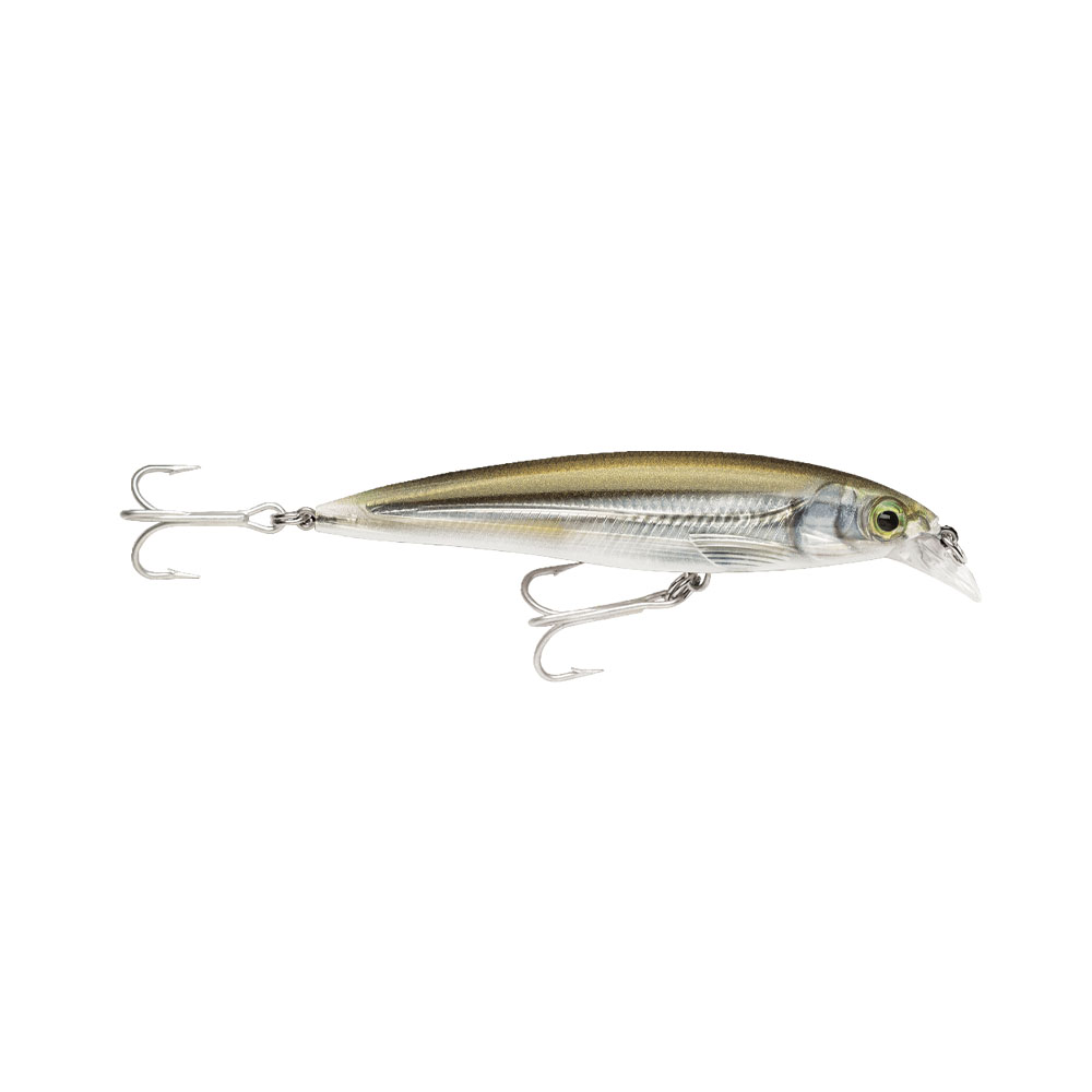 Isca Artificial Rapala SXR12 X-rap 12CM 22GR