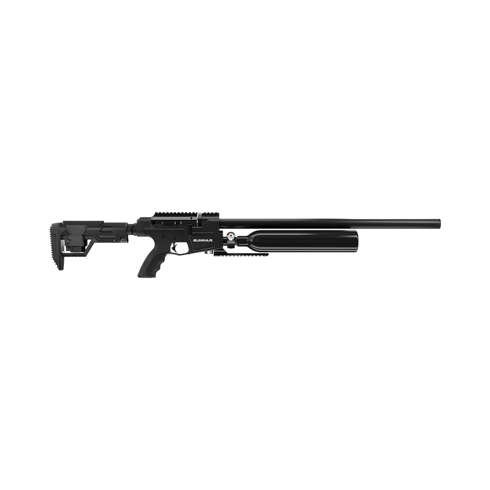 Carabina Benjamin Gunnar BPG22S Pcp