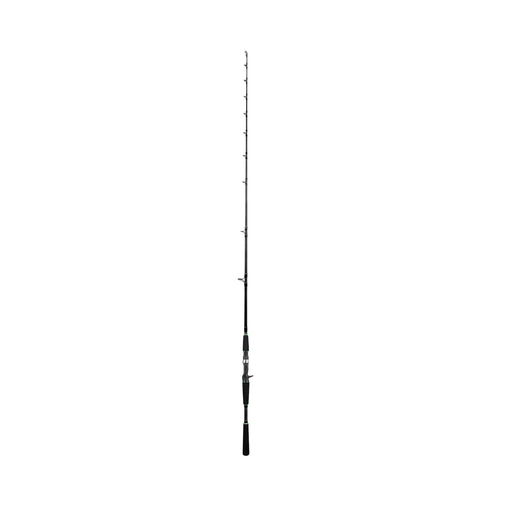 Vara de Pesca para Carrinho Top Fishing Pantano PAN-C672H 20-50LB 2M 2 Partes