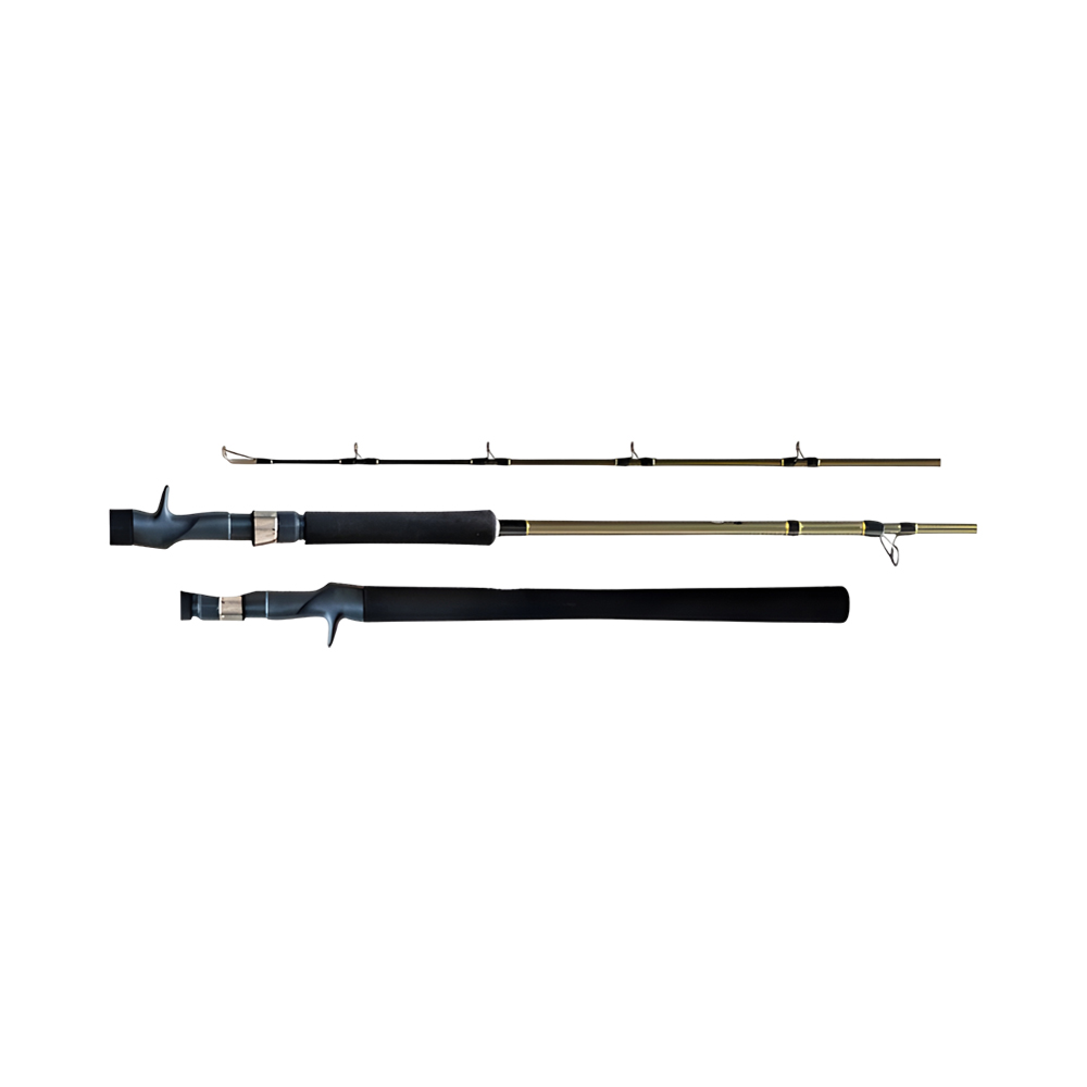 Vara para Carretilha Shimano Solara SLSC60XH2 20-60LB 1,80M 2 Partes